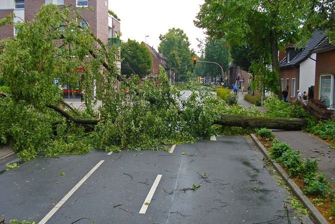 Skutki wichur nad Polską to brak prądu i zerwane dachy