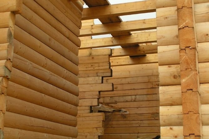 Czy domy z drewna mogą stać się przyszłością dla budownictwa wielorodzinnego?