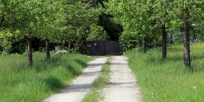 Warunki uznania sprzedaży nieruchomości za czynność objętą opodatkowaniem VAT