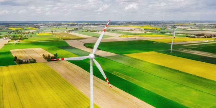 Biznes i potencjał zielonej energii
