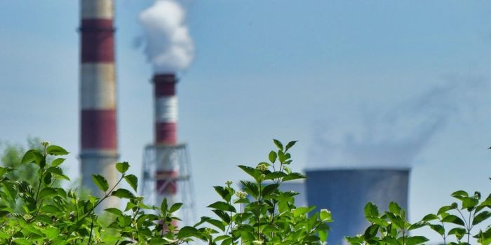 Smog dusi całe miasta!