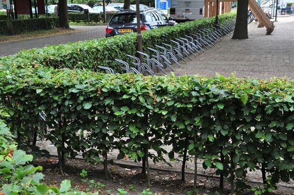 Fot. 3. Bariera z buka osłania parking dla rowerów