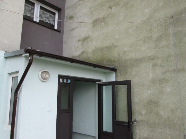 Nieestetyczne naloty na elewacjach – jakie są przyczyny i jak zapobiegać powstawaniu?