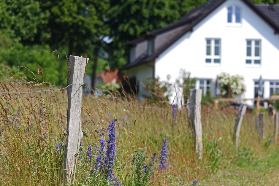 Eksperci łumaczą, że po tylu miesiącach życia w zamknięciu więcej ludzi zamarzyło o prywatnej przestrzeni z ogr&oacute;dkiem, fot. Pixabay