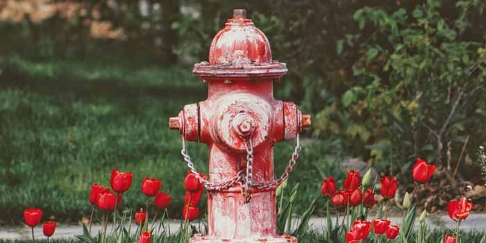Kto odpowiada za hydranty zewnętrzne?; fot. unsplash
