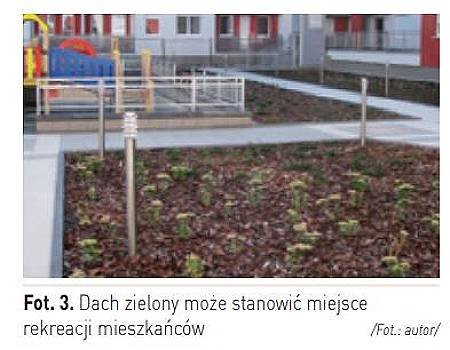 dach zielony 1