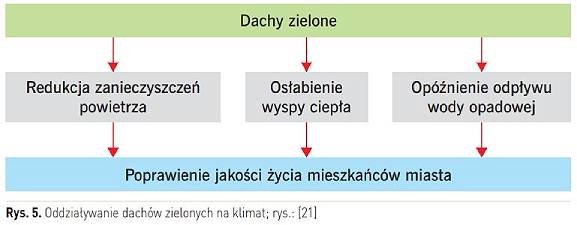 oddzialywanie dachow 1