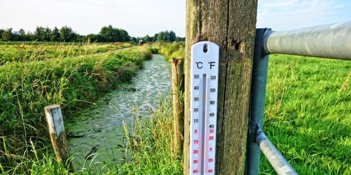 W 2022 roku średnia temperatura Ziemi była wyższa o ok. 1,15&deg;C względem pomiar&oacute;w z okresu preindustrialnego. Fot. Pixabay