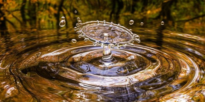 Nowa technologia pozwoli sprawniej badać jakość wody. Fot. Pixabay