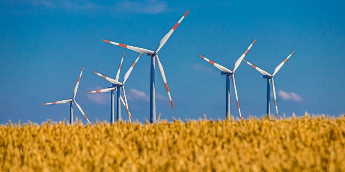 Koalicja zapowiada poparcie dla&nbsp;energetyki wiatrowej, fotowoltaiki i biogazowni. Fot. Pixabay