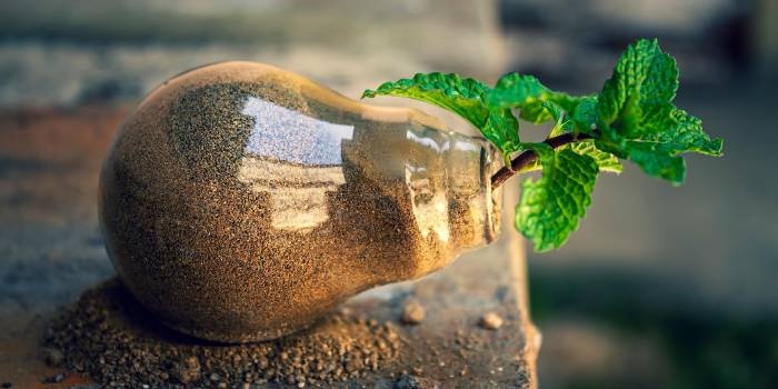 Jednym z obowiązk&oacute;w gminy jest zakładanie i utrzymywanie teren&oacute;w zieleni i zadrzewienia. Fot. Pixabay