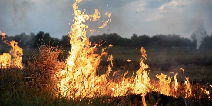Zgodnie z nową propozycją, z katalogu kar dla wykroczeń wymienionych w art. 82 par. 1, 2, 4 i 5 zniknie najłagodniejsza kara - nagana, a dodana zostanie kara ograniczenia wolności, fot. Freepik