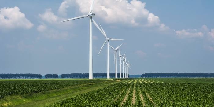 Ważną składową&nbsp;um&oacute;w dzierżawy&nbsp;jest&nbsp;tzw.&nbsp;opłata postojowa, wypłacana w okresie, gdy farma wiatrowa nie jest jeszcze uruchomiona (np. podczas uzyskiwania pozwoleń lub budowy, co może trwać nawet do 8 lat), fot. Freepik
