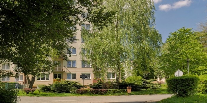 W budynku wielolokalowym obowiązki dotyczące nieruchomości wsp&oacute;lnej obciążają co do zasady wsp&oacute;lnotę lub sp&oacute;łdzielnię, a ustawa wymaga utrzymywania pojemnik&oacute;w w odpowiednim stanie sanitarnym, porządkowym i technicznym oraz samego miejsca gromadzenia odpad&oacute;w w odpowiednim stanie sanitarnym i porządkowym, fot. Pexels