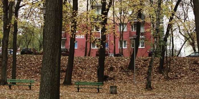 NSA wskazał, że w sprawach dotyczących naruszenia stosunk&oacute;w wodnych kluczowe znaczenie może mieć opinia biegłego. Jeśli wsp&oacute;lnota ją kwestionuje, powinna przedstawić własną kontropinię, fot. Pexels
